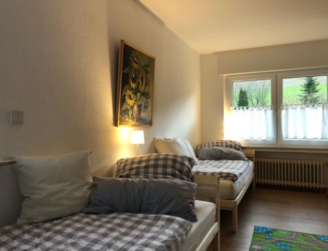 Ferienwohnung Paeusken Im Hochsauerland- E- Bike Und Auto Laden Moeglich Бествиг Екстериор снимка